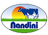 Nandini-Logo